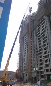 案例展示 (19)
